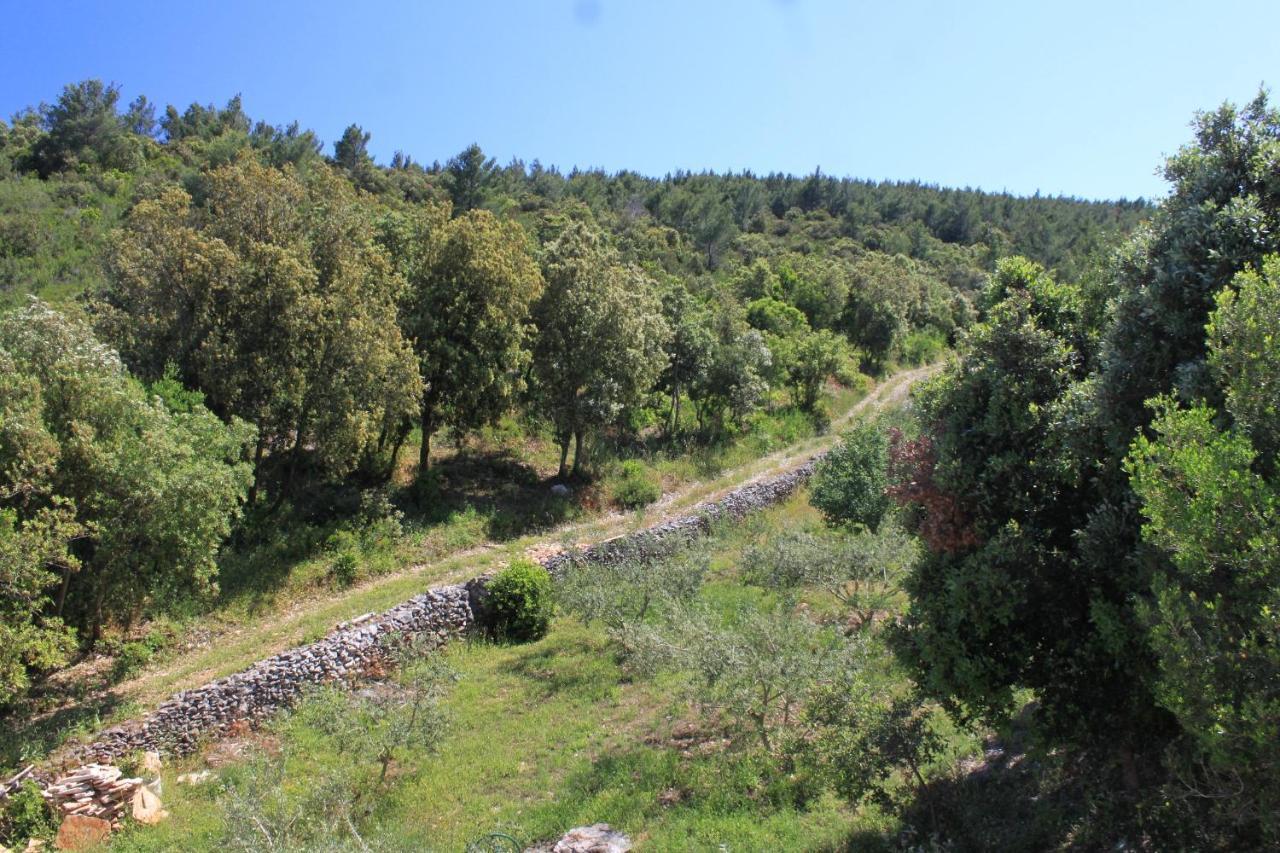 Seaside Secluded Apartments Cove Karkavac - Scedro, Hvar - 8801 ييلسا المظهر الخارجي الصورة